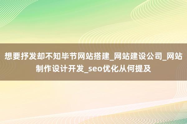 想要抒发却不知毕节网站搭建_网站建设公司_网站制作设计开发_seo优化从何提及